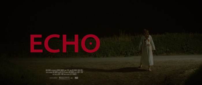 Echo-poster